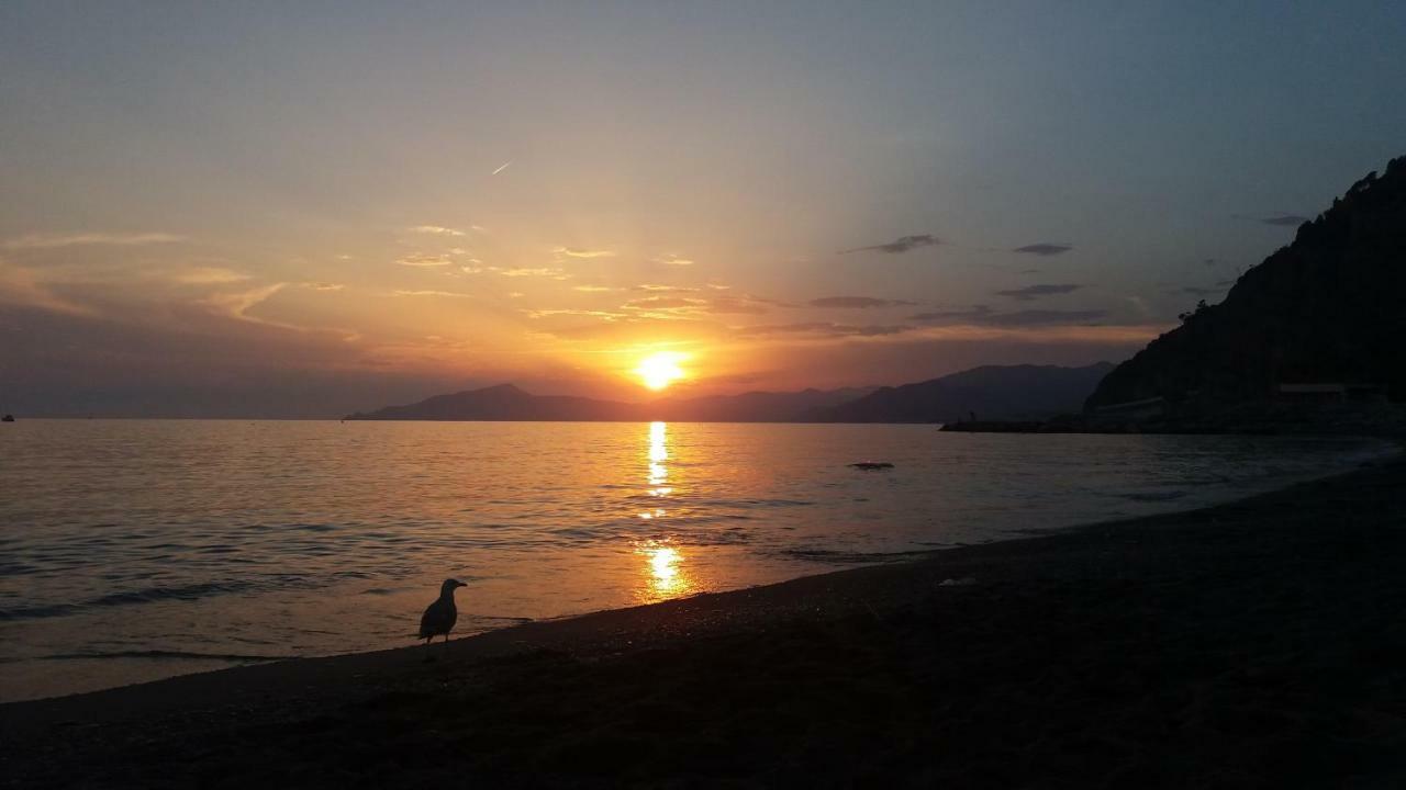 4Effe Home Sestri Levante Dış mekan fotoğraf